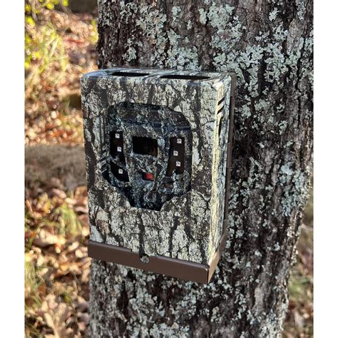 trail camera security box